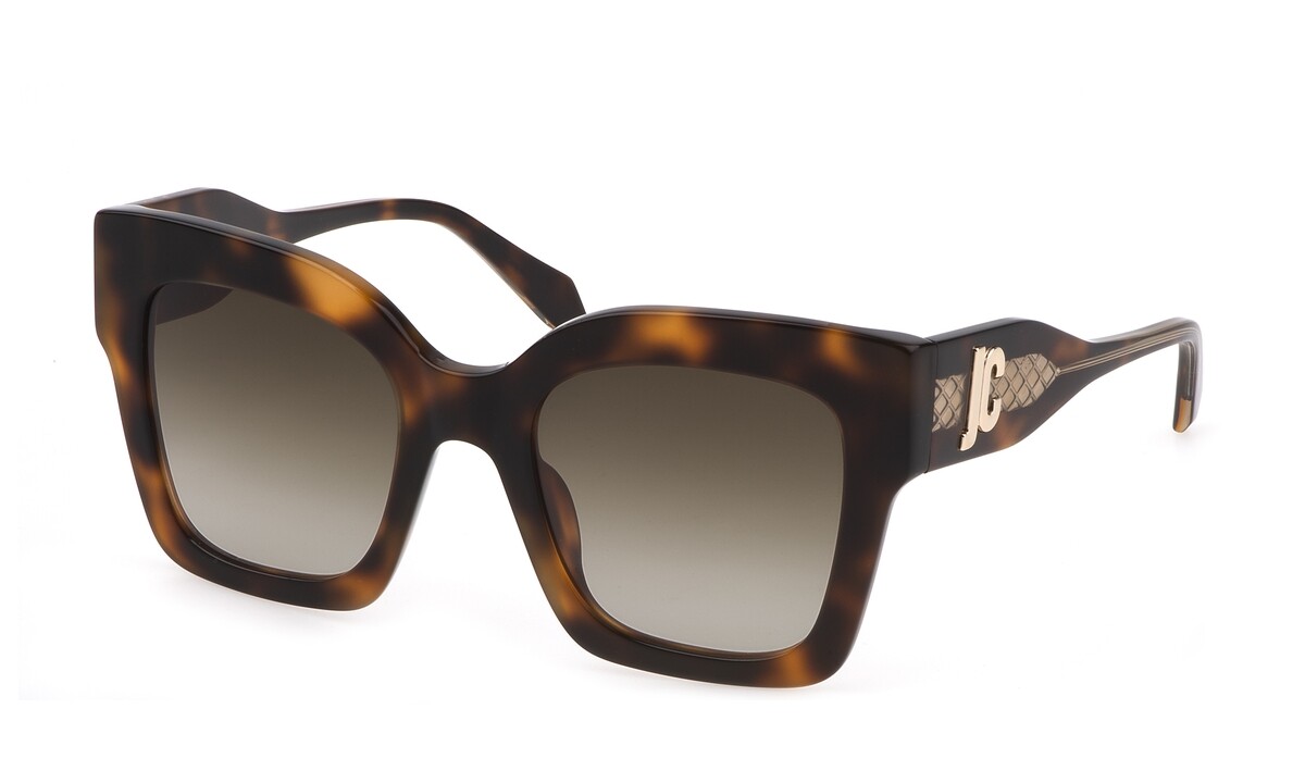 Just Cavalli 019V-U62 ацетат W UV + футляр + салфетка