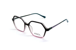 Оправа корригирующая Assol 202303-C5 комбинированная W